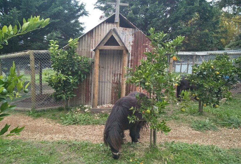 Pensión A Twist Of Willow