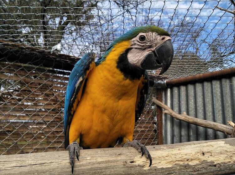 Pensión A Twist Of Willow