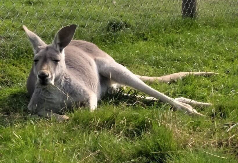 Pensión A Twist Of Willow