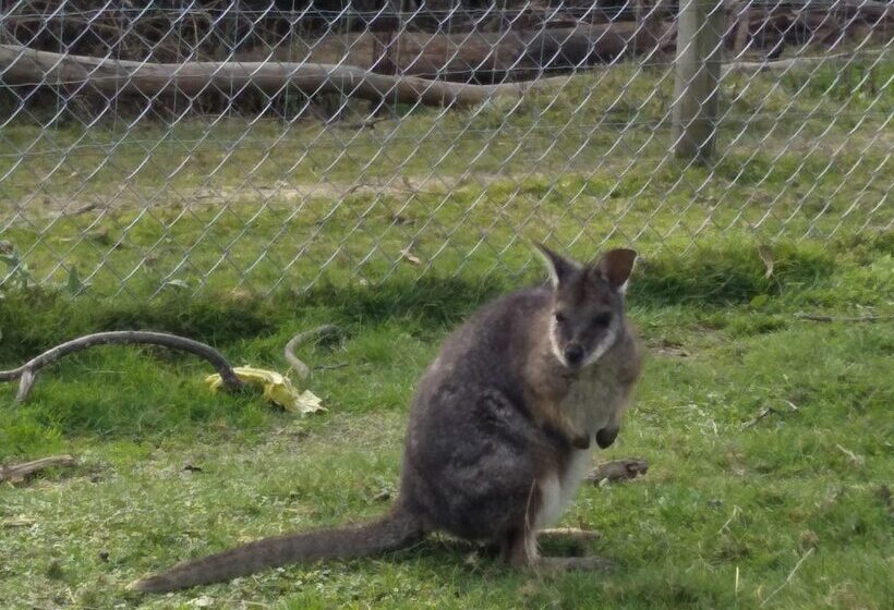 Pensión A Twist Of Willow