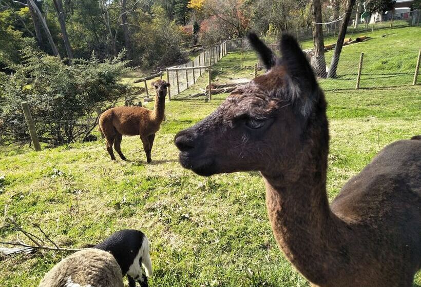 Pensión A Twist Of Willow