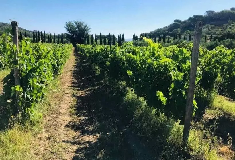 Aamiaismajoitus (B&B) Tenuta Santa Caterina
