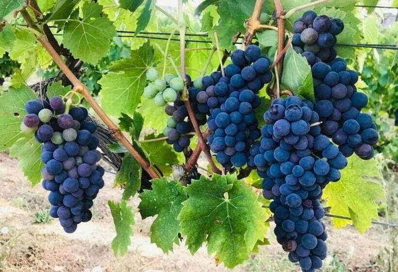 ベッドアンドブレックファースト Tenuta Santa Caterina