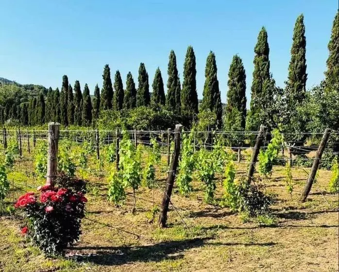 Aamiaismajoitus (B&B) Tenuta Santa Caterina