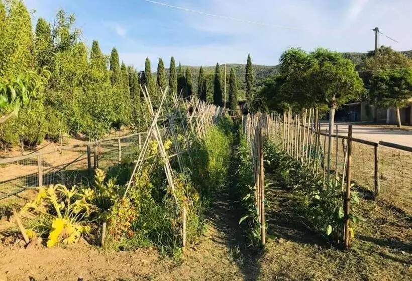 Aamiaismajoitus (B&B) Tenuta Santa Caterina