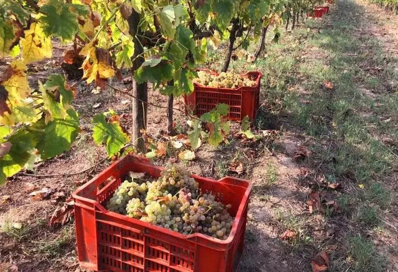Aamiaismajoitus (B&B) Tenuta Santa Caterina