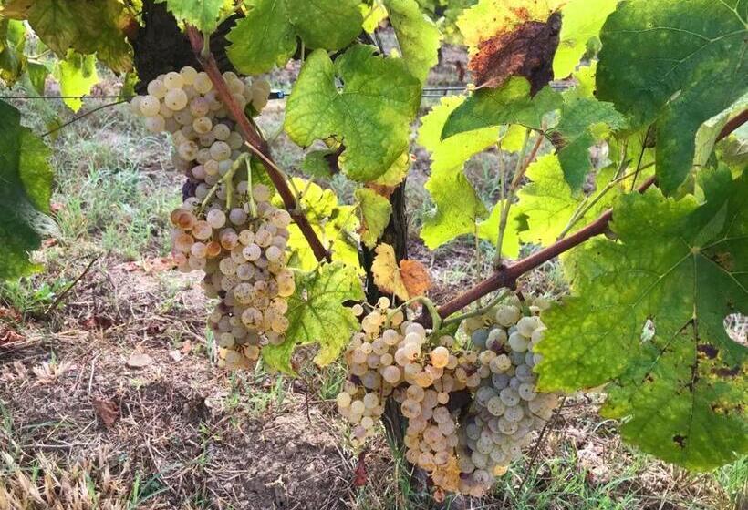 ベッドアンドブレックファースト Tenuta Santa Caterina