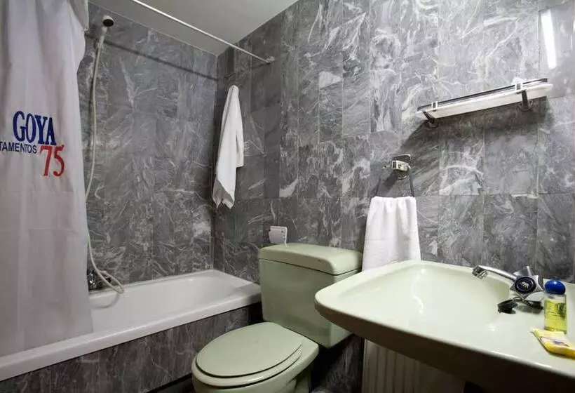 Apartamentos Goya 75