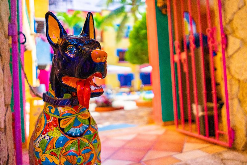 בית מלון כפרי Hacienda Maria Bonita