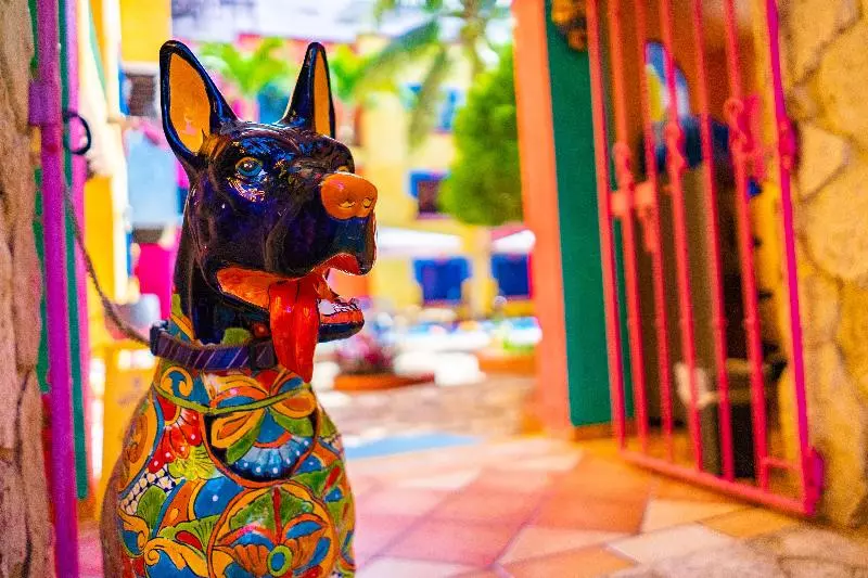 酒店 Hacienda Maria Bonita