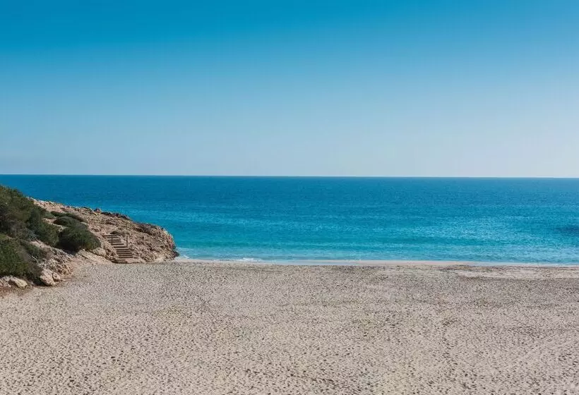 Hotel Iberostar Waves Cala Domingos - All Inclusive