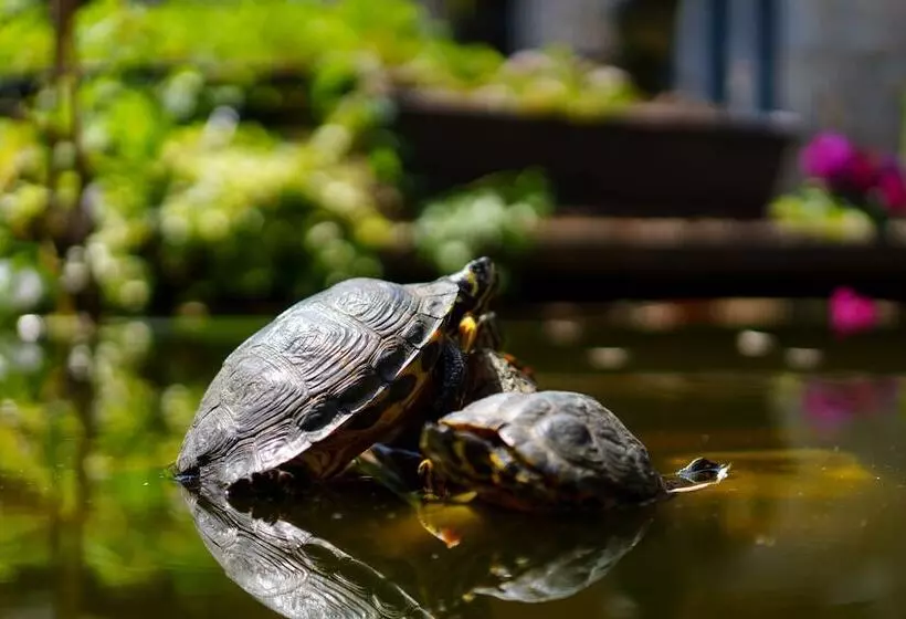 호텔 Les Jardins De La Molignee