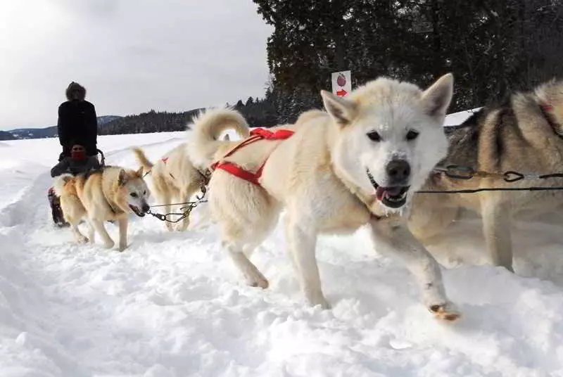 酒店 Sacacomie Hôtel Et Spa