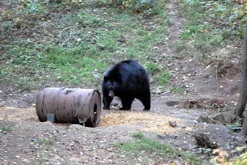酒店 Sacacomie Hôtel Et Spa
