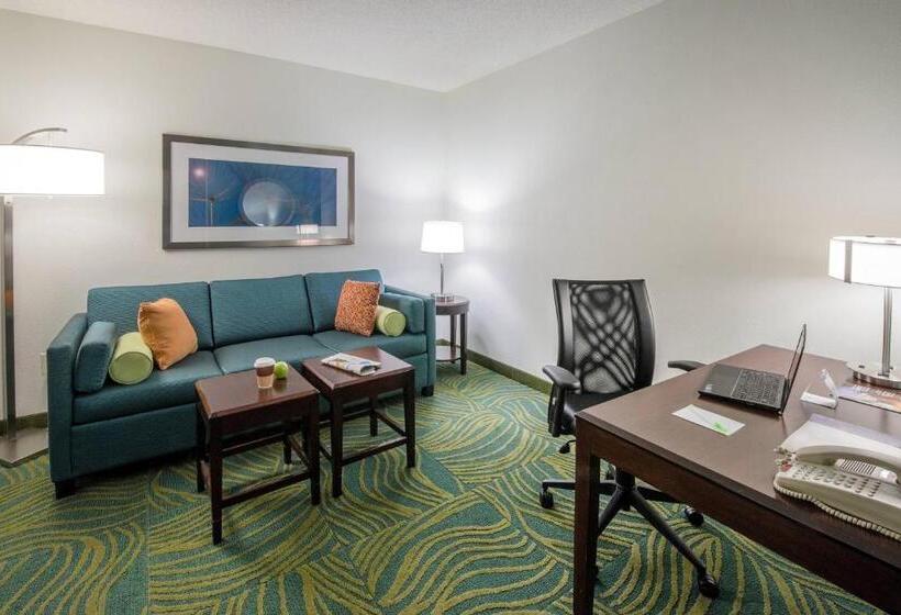 호텔 Springhill Suites By Marriott Greensboro