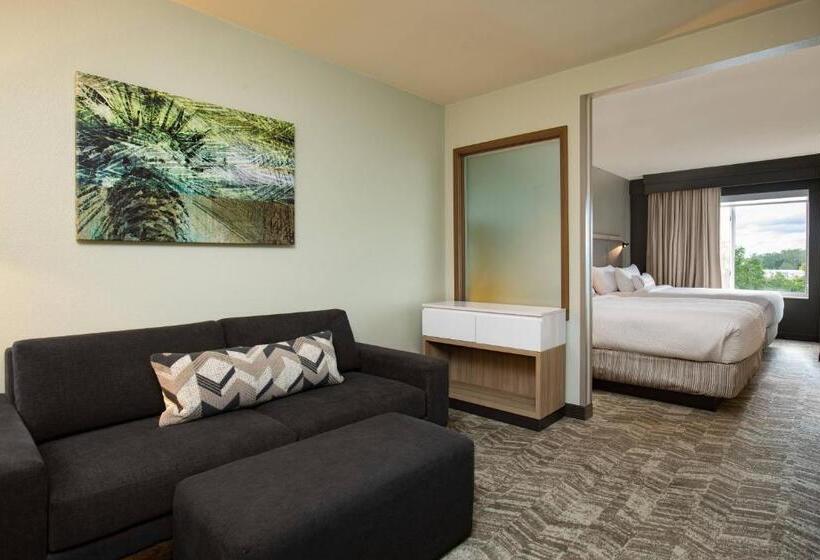 Szálloda Springhill Suites Orlando Altamonte Springs/maitland