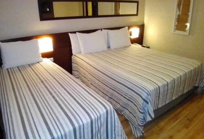 Transamerica Executive Congonhas