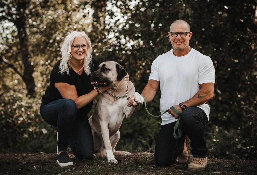 Bed and Breakfast Stirling House