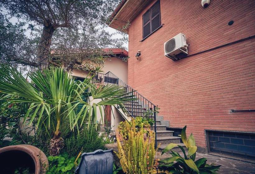 Travelershome Ciampino B&bs