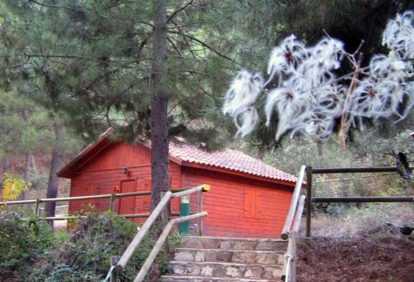 Cabañas La Toma Del Agua