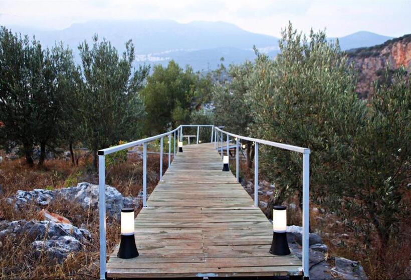 酒店 Kaş Hi̇story Li̇manağzi