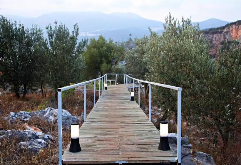 Hotelli Kaş Hi̇story Li̇manağzi