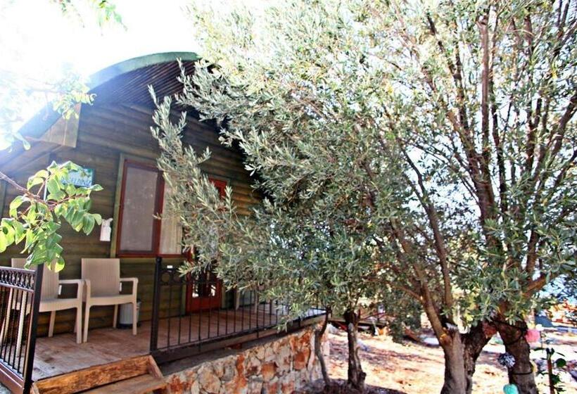 酒店 Kaş Hi̇story Li̇manağzi