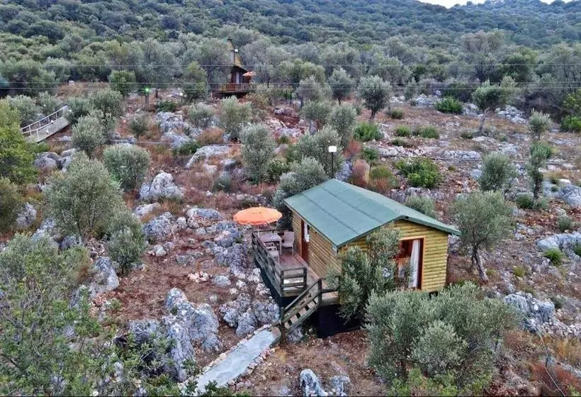 Hotelli Kaş Hi̇story Li̇manağzi