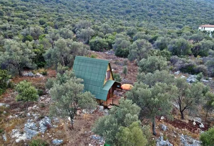 Hotelli Kaş Hi̇story Li̇manağzi