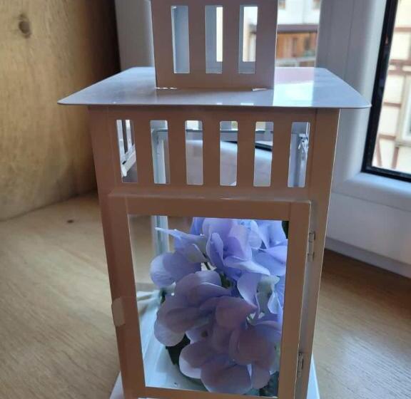 Пансион Dazwischen übernachten