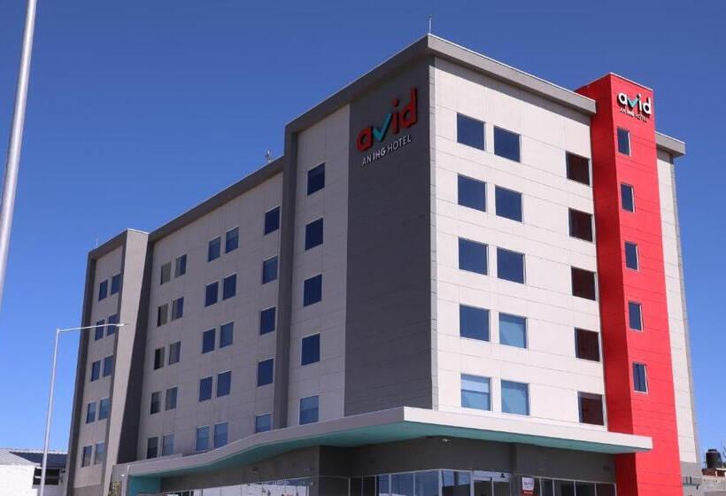 Avid Hotel Fresnillo, An Ihg
