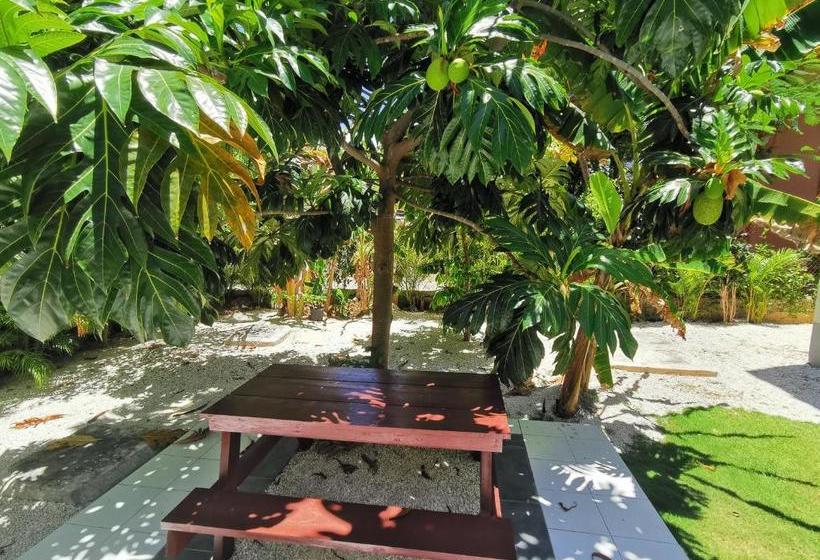 هتل Sol Caribe - Playa Los Corales - Swimming Pool, Beach Club, Bbq, Wifi