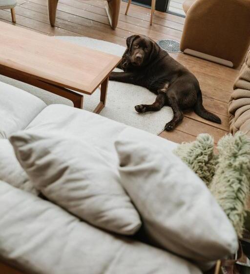 هتل Basecamp Amsterdam