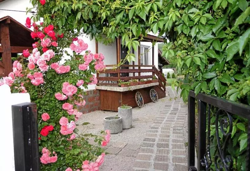 ペンション Guest House Medina