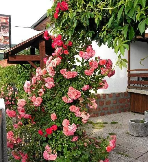 ペンション Guest House Medina
