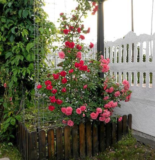 펜션 Guest House Medina