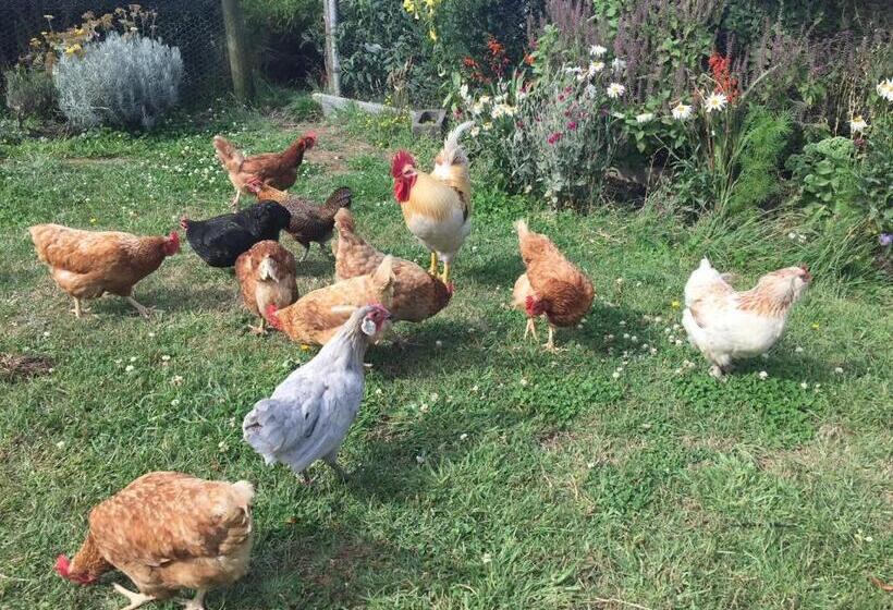 住宿加早餐  Aashay Country Stay