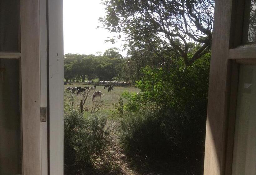 住宿加早餐  Aashay Country Stay