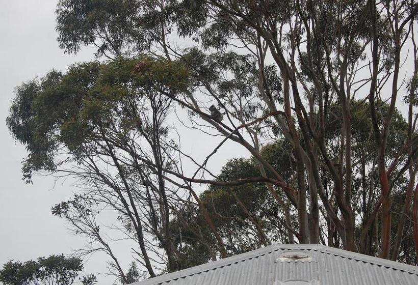 住宿加早餐  Aashay Country Stay