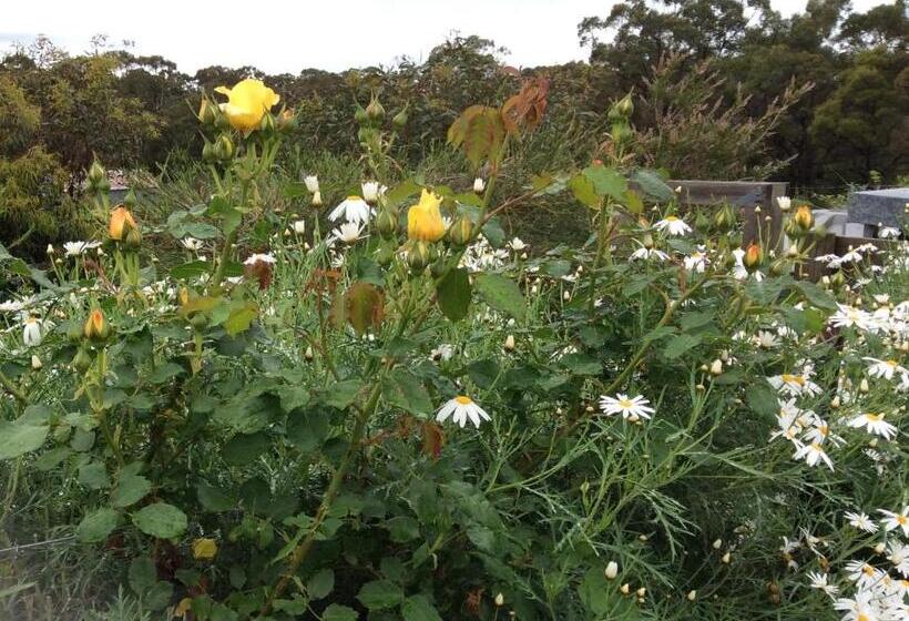 住宿加早餐  Aashay Country Stay