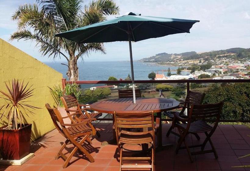 Bed and Breakfast High On Penguin