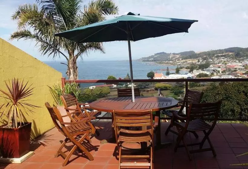 Aamiaismajoitus (B&B) High On Penguin