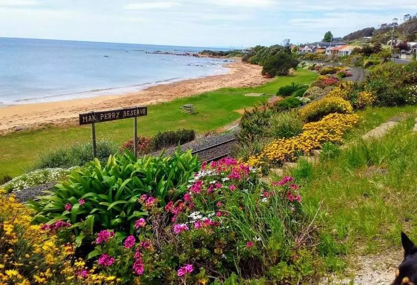 Aamiaismajoitus (B&B) High On Penguin