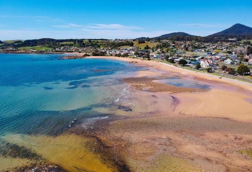 Bed and Breakfast High On Penguin