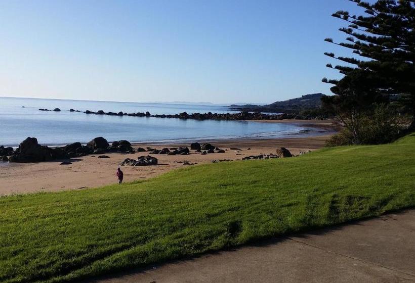 Bed and Breakfast High On Penguin