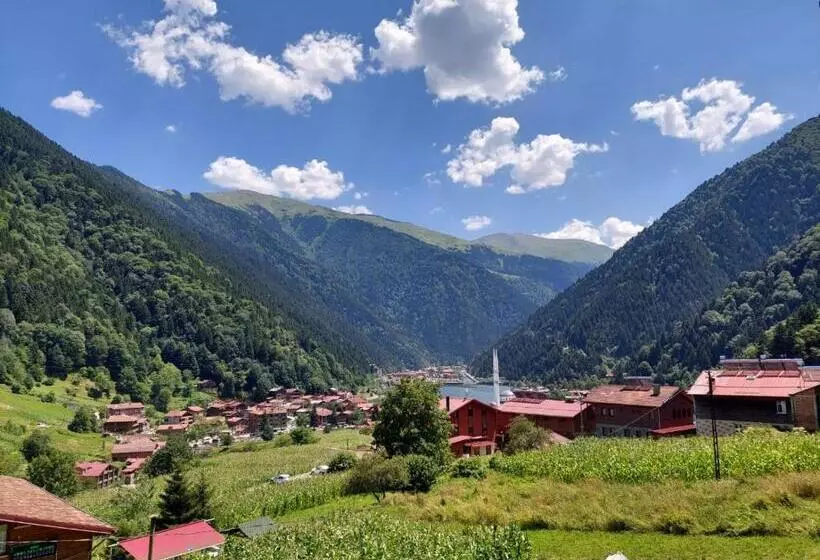 Eş Pansiyon