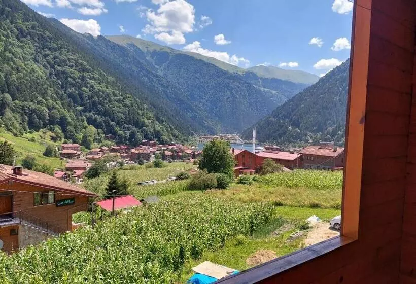 Eş Pansiyon