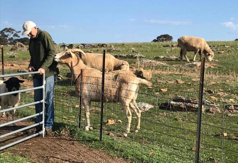 酒店 Gilgraves Vineyard Farmstay