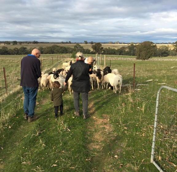 酒店 Gilgraves Vineyard Farmstay