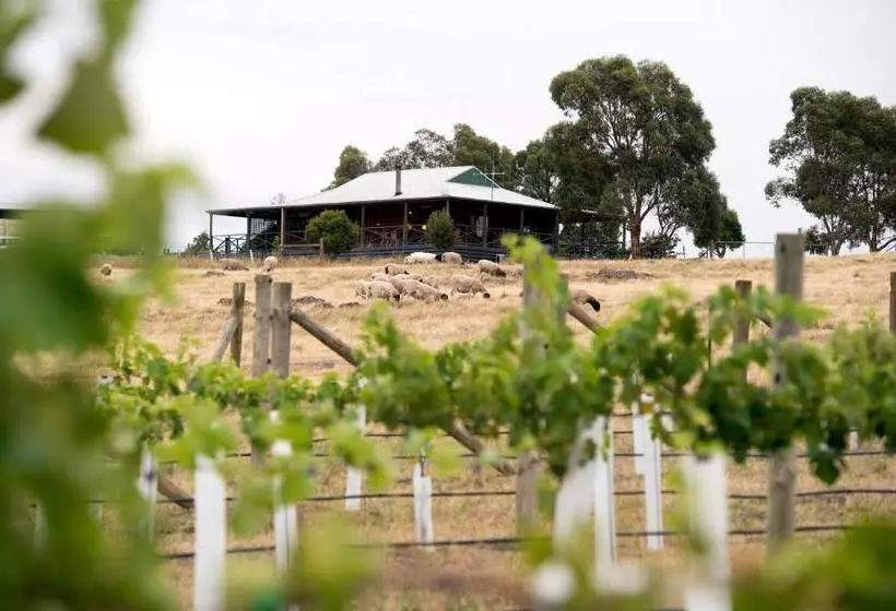 ホテル Gilgraves Vineyard Farmstay